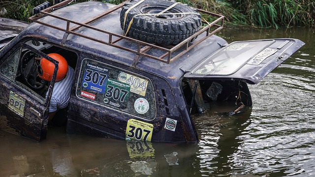 争取为世界 争取为世界