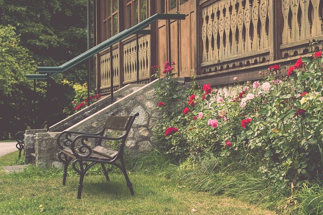 凭借惊人的 凭借惊人的