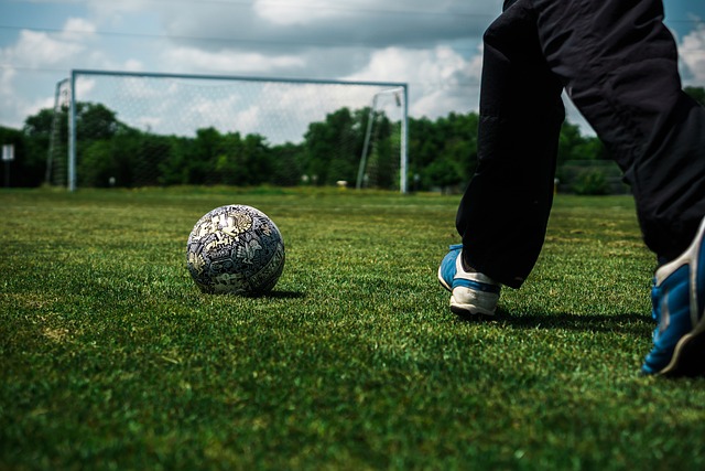 他的出色表 他的出色表