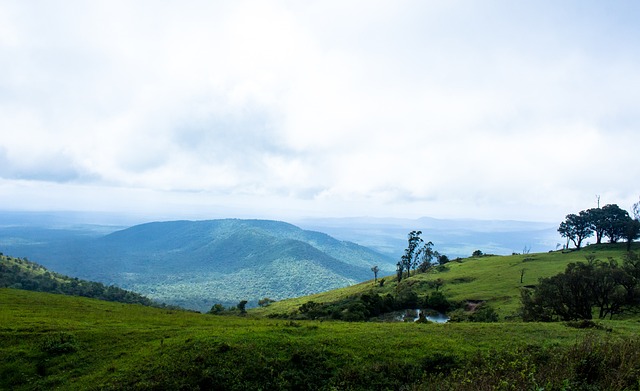 双方更快地 双方更快地