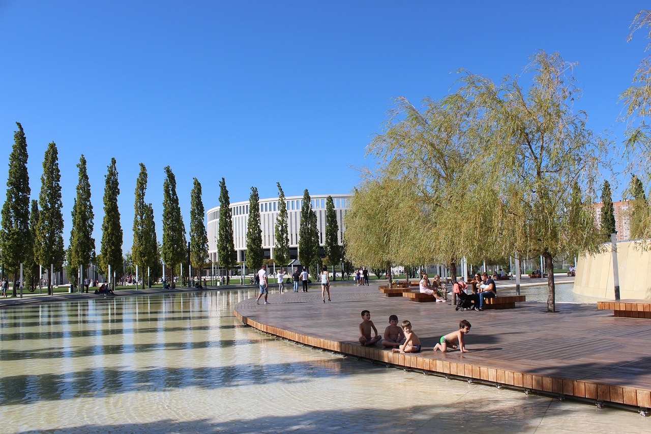 多倫多猛龍 多倫多猛龍