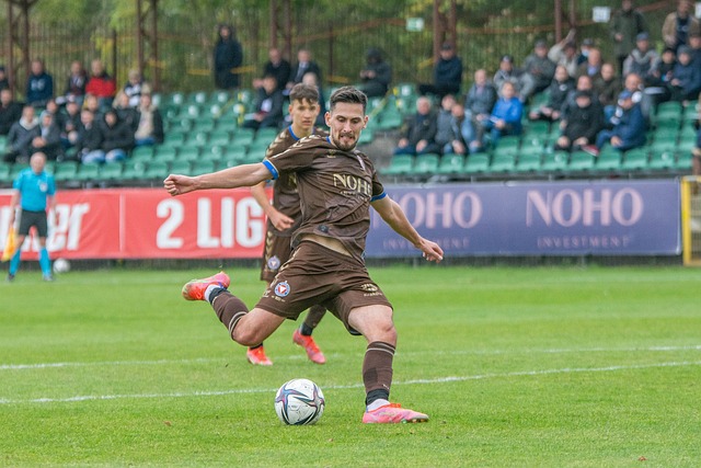 霸主地位 霸主地位